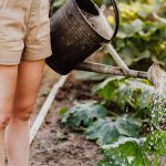 Techniken und Werkzeuge fur einen gesunden Garten 150x150 - Organic Garden: Techniken und Werkzeuge für einen gesunden Garten