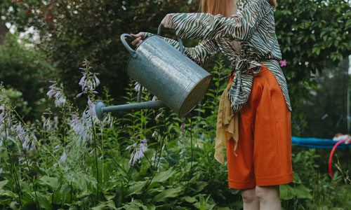 Techniken und Werkzeuge fur einen gesunden Garten4 - Organic Garden: Techniken und Werkzeuge für einen gesunden Garten